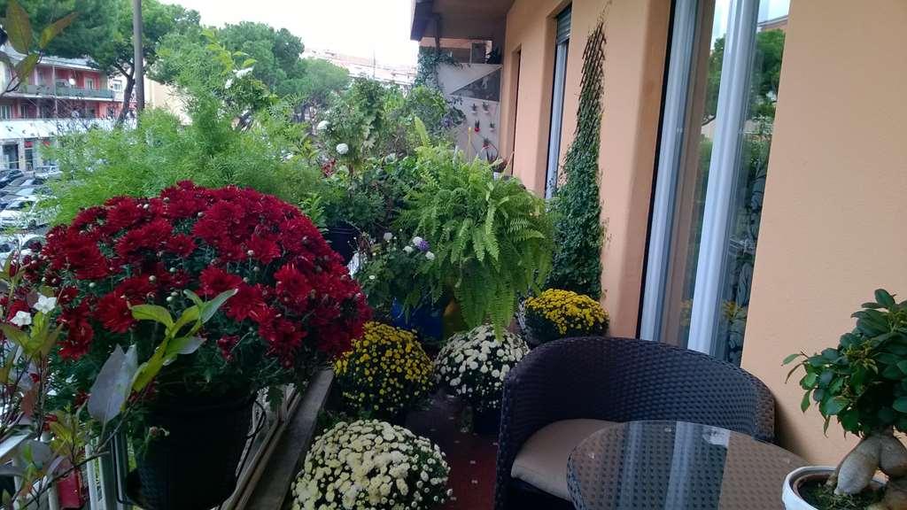 Gregorio VII Luxury Suites Roma Servizi foto